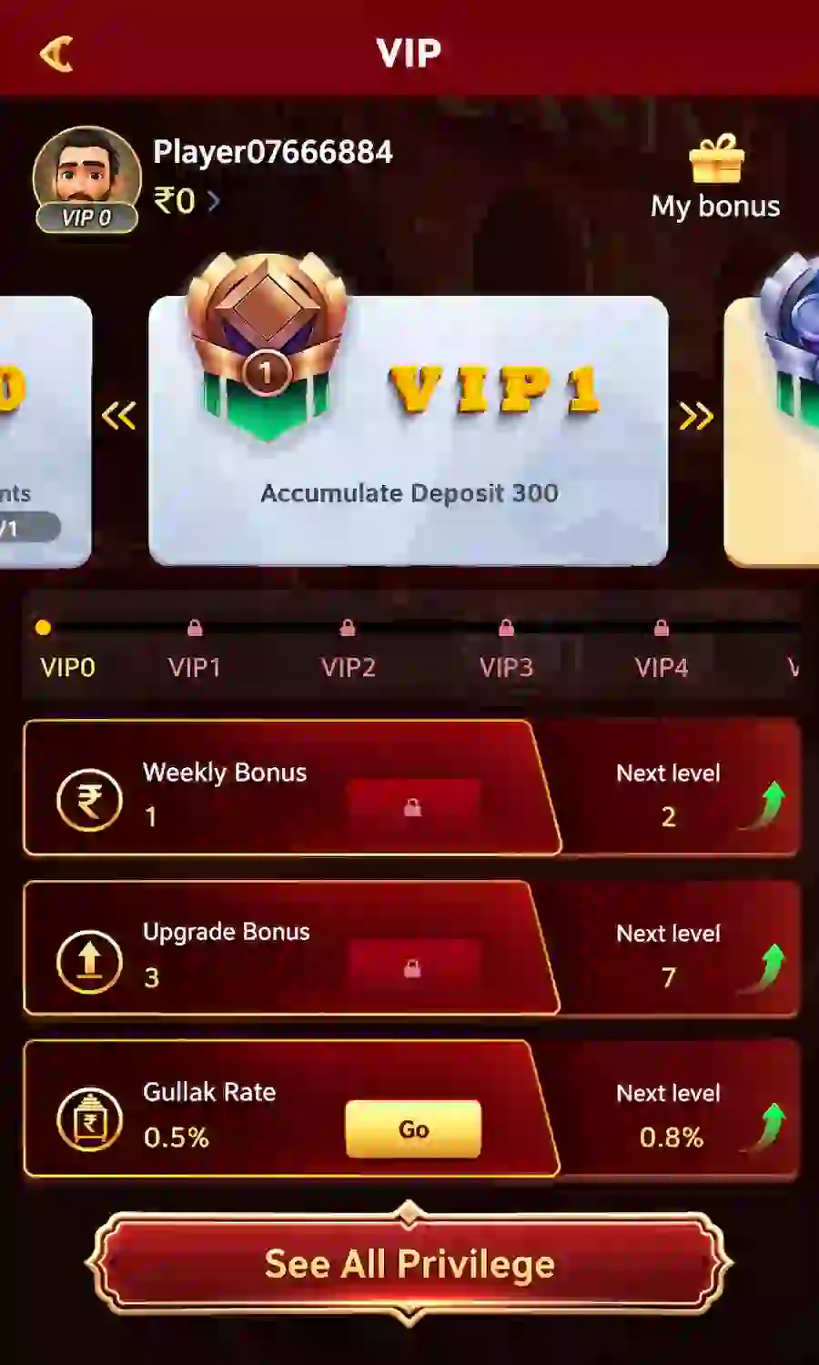 HA7 Game VIP screen showing account level and privilege information